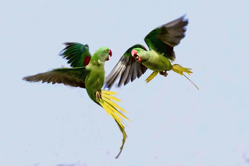 Photograph by Светлана Барабанщикова