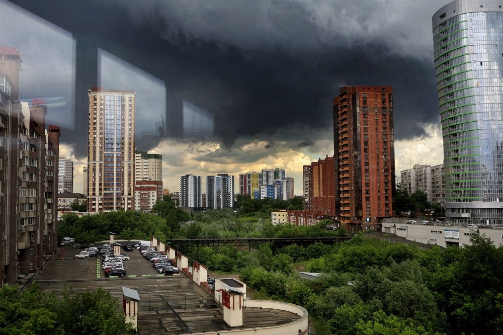 Гроза в городских джунглях