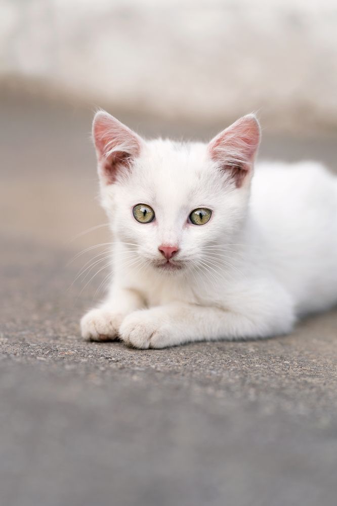 Photograph by Юлия Рябчук