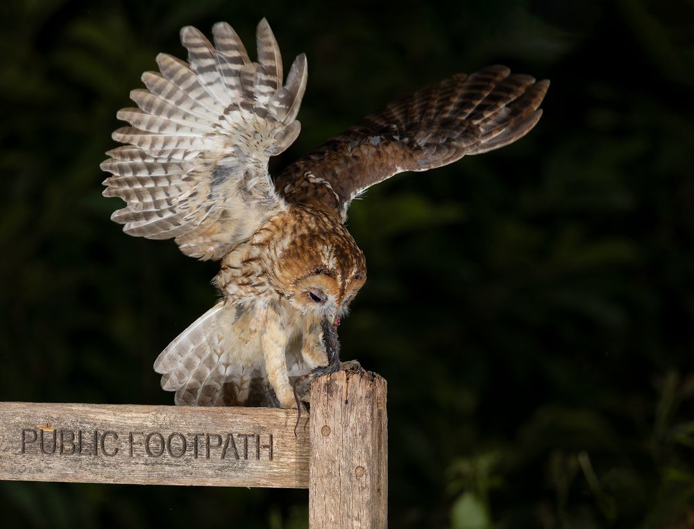 Фотография автора MARIA KULA