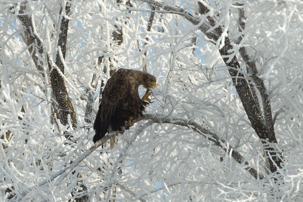 Photograph by Василий Дудин
