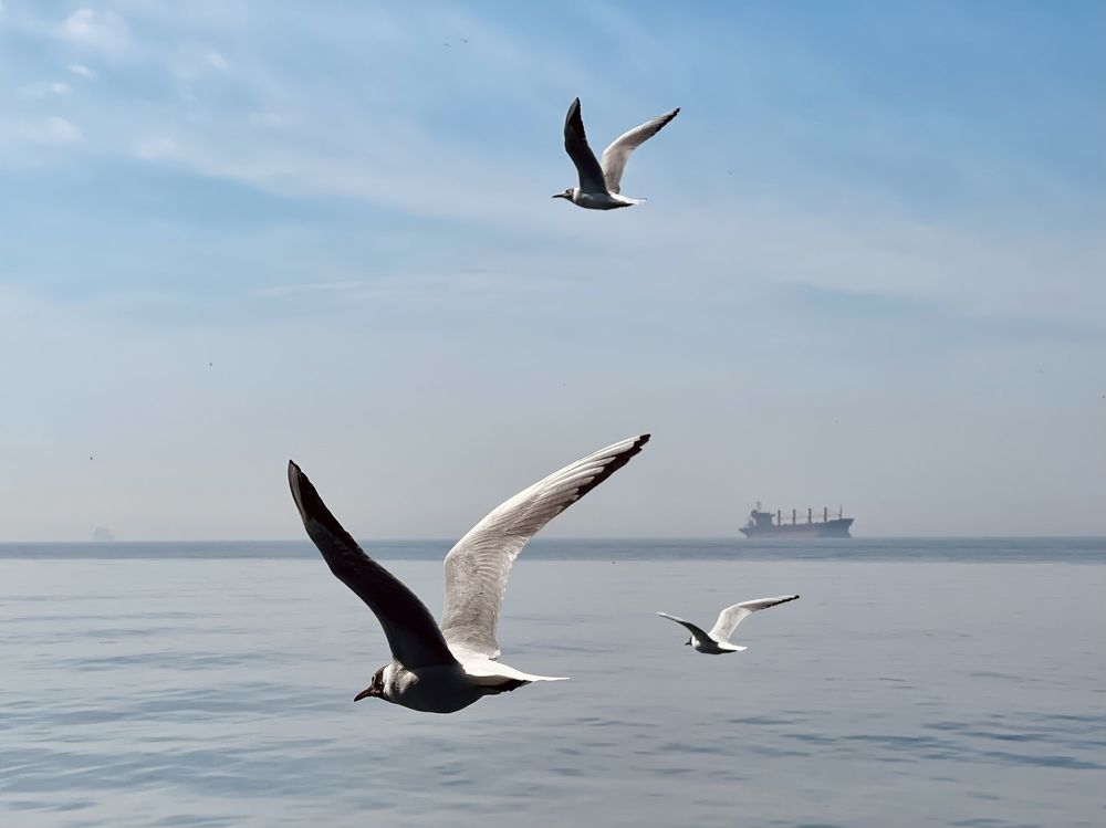 Photograph by Evgenia Barinova