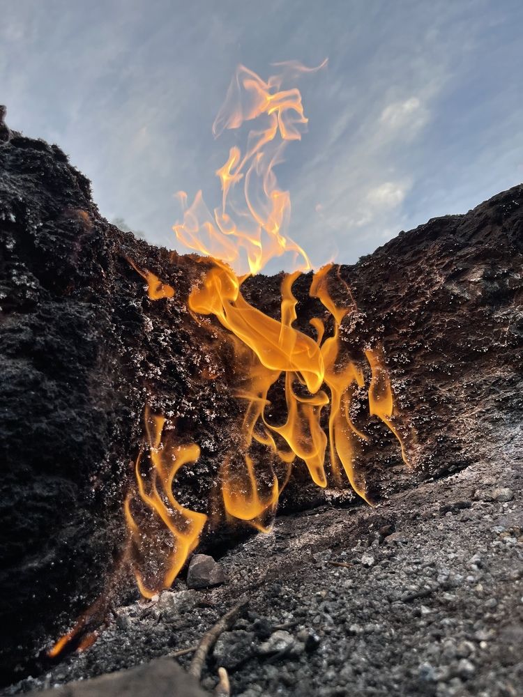 Photograph by Evgenia Barinova