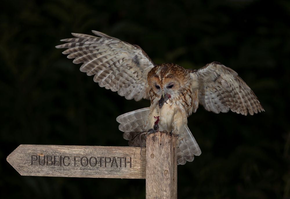 Фотография автора MARIA KULA