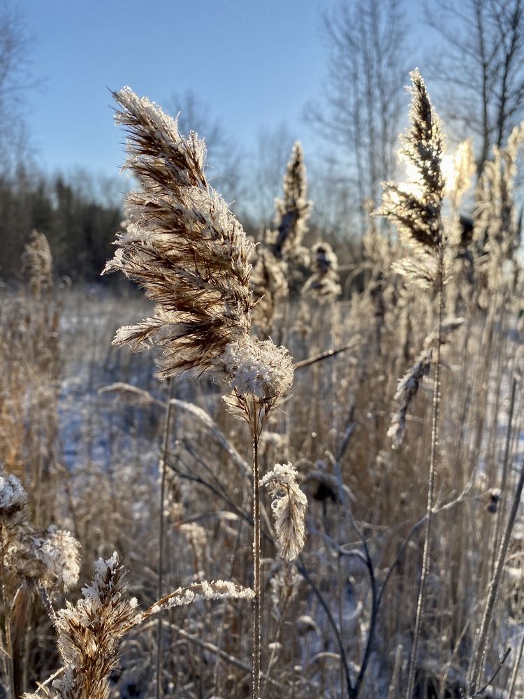 Photograph by Валентина