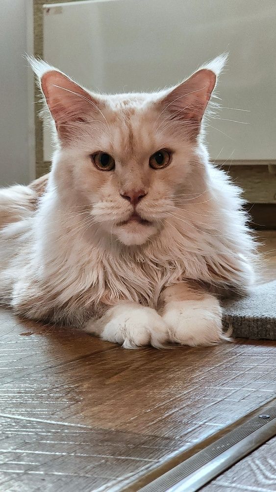 Photograph by Яна Афанасьева