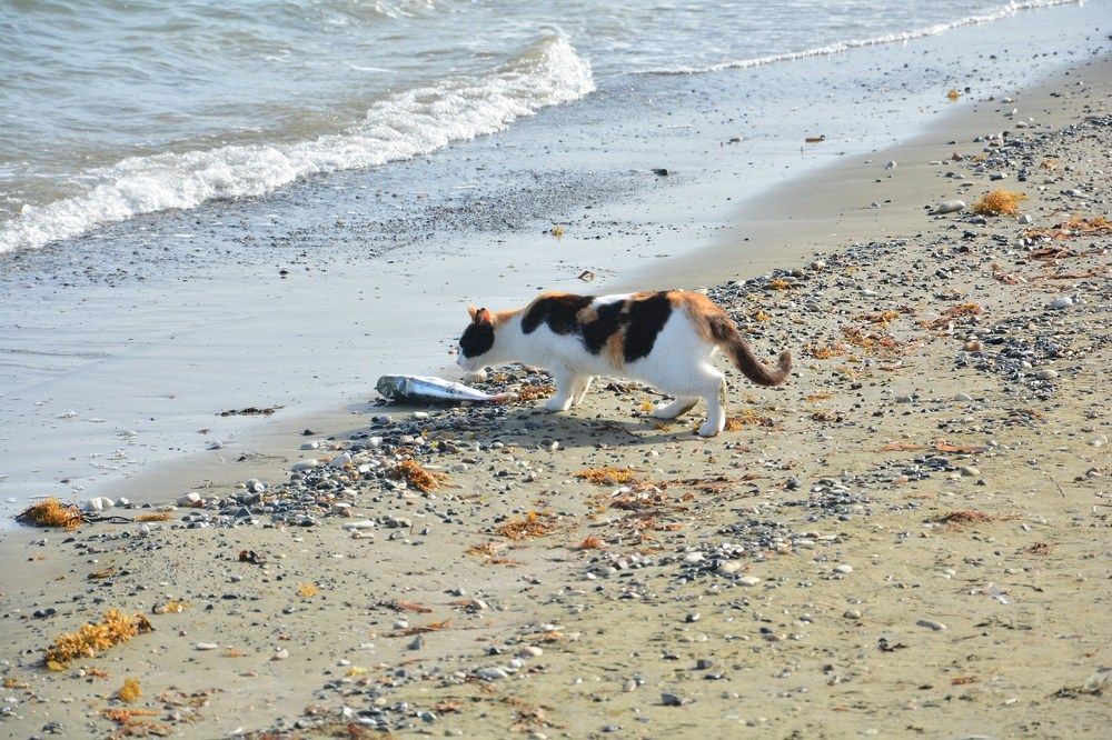 Photograph by Elizaveta Sakhnenko