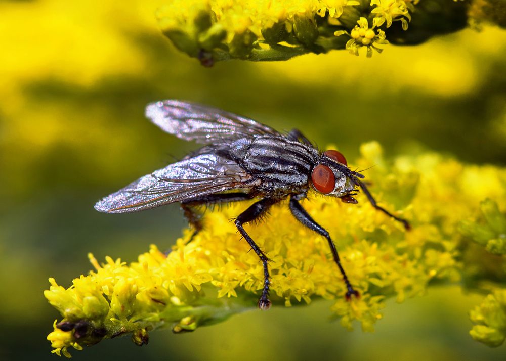 Photograph by Valery Pegushev