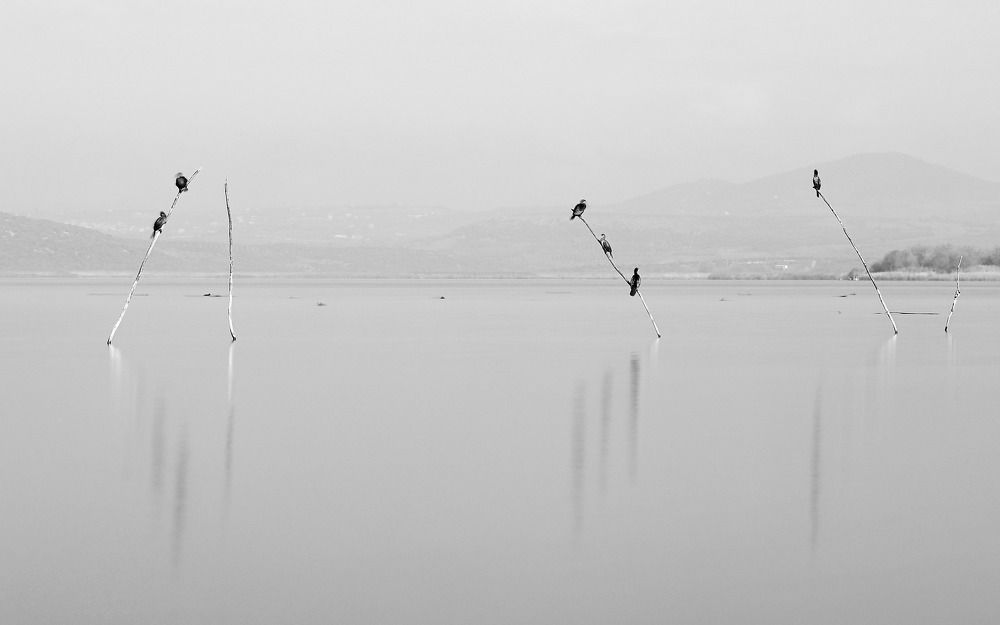 Photograph by Nurlan Tahirli