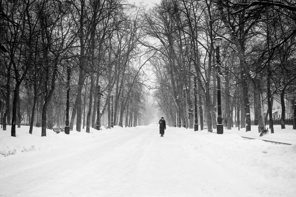 Фотография автора Елена Кириллова