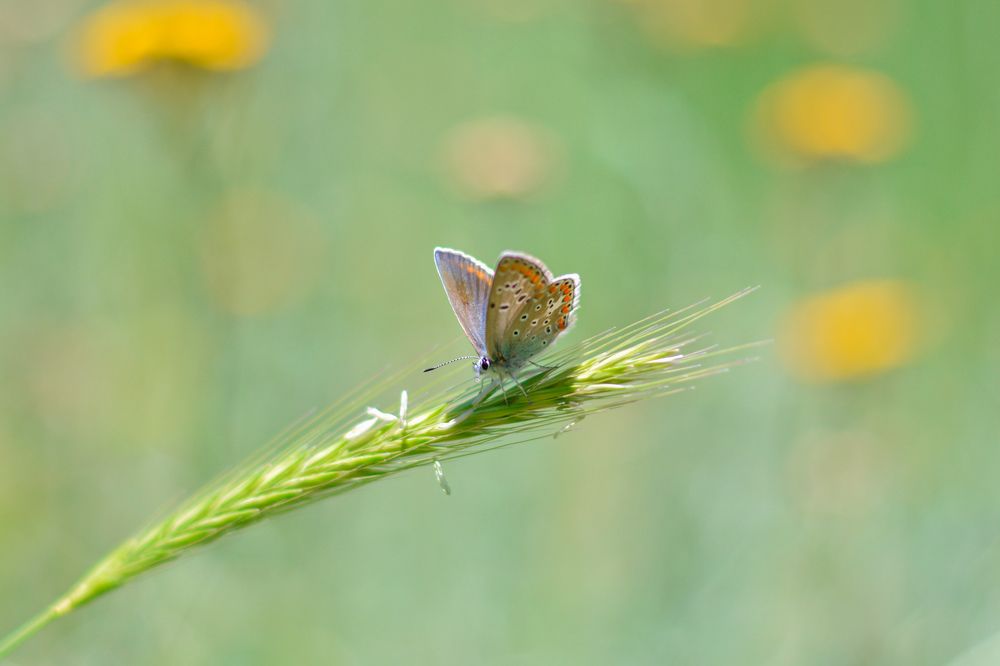 Photograph by ali bakhshi