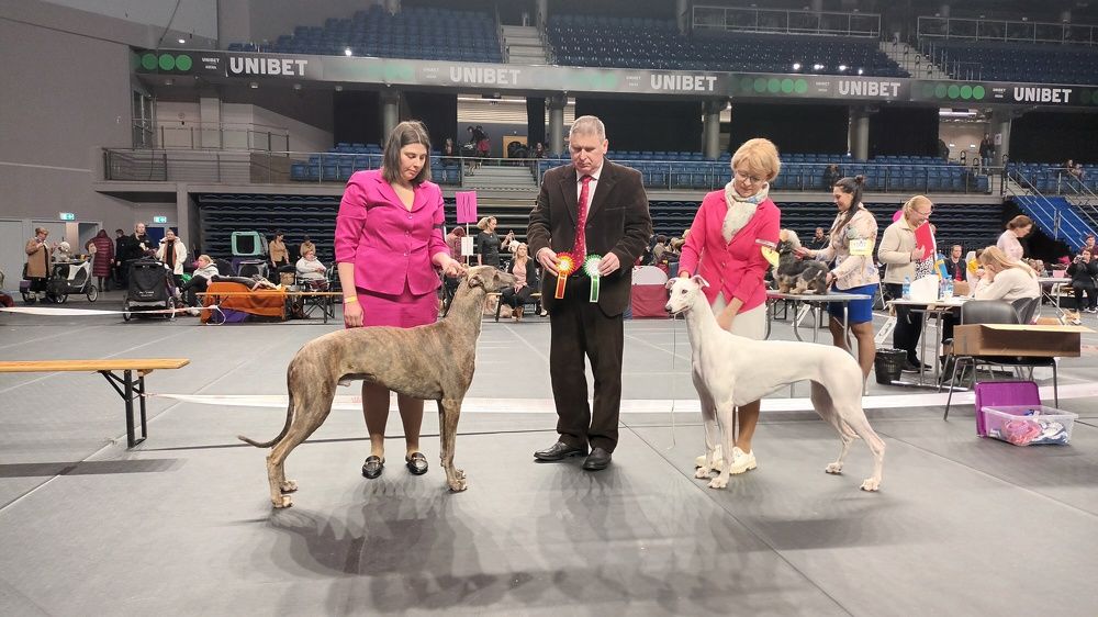 Победители