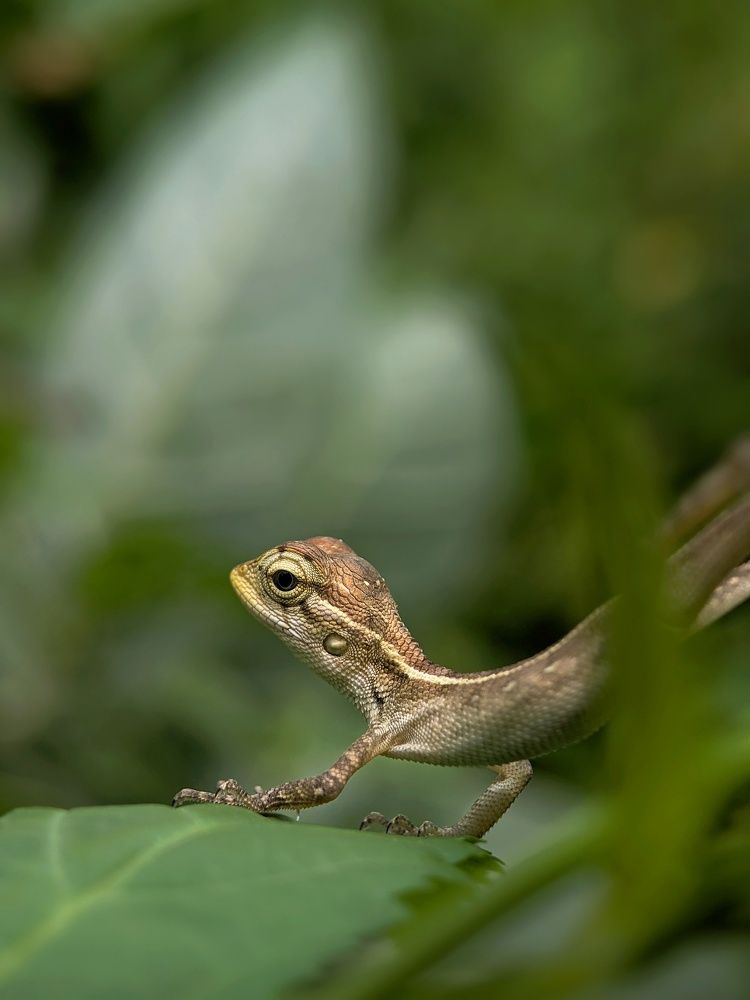 Photograph by Faiyal Ahmed