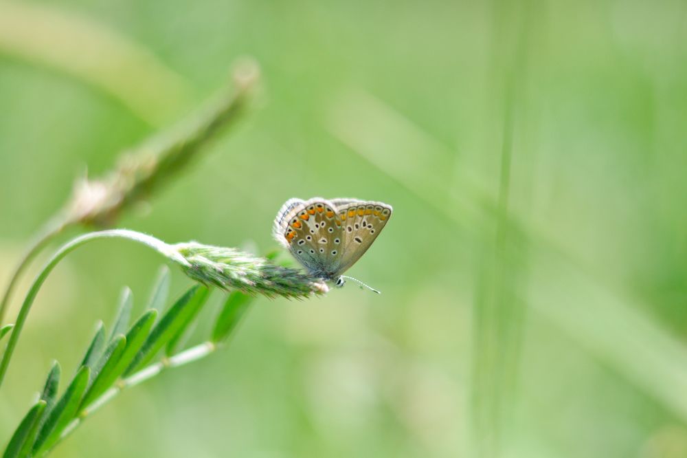 Photograph by ali bakhshi