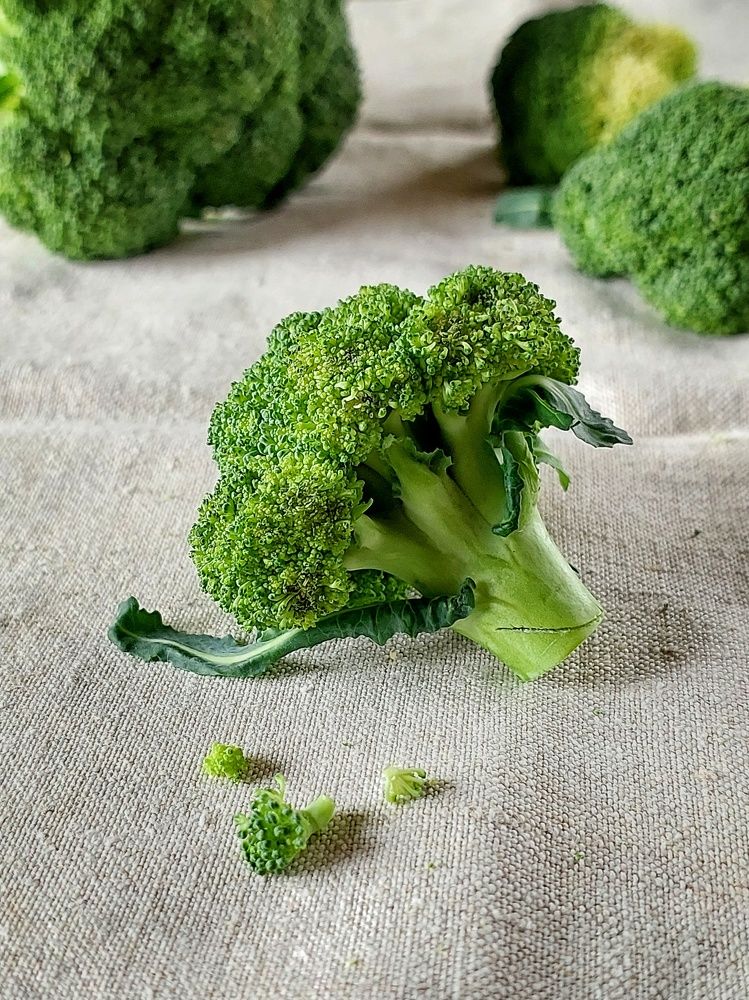 Photograph by Эмма Рахматуллина