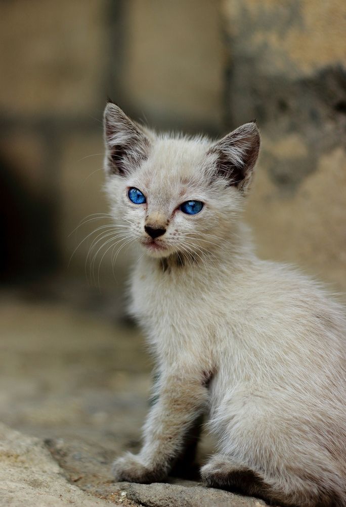Фотография автора Лукьянов Евгений