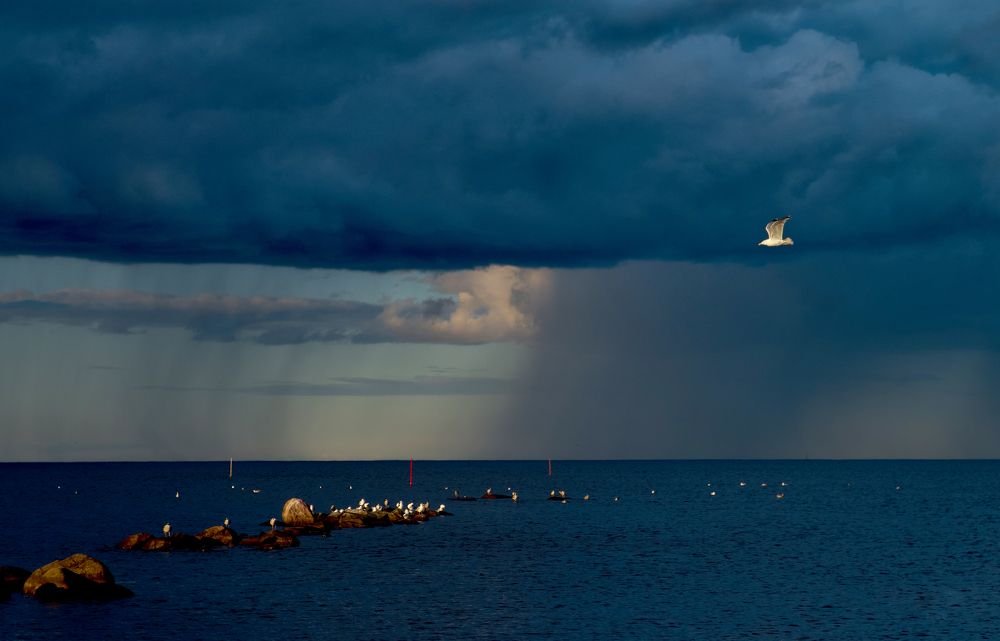 Photograph by Вадим Шестаков- Першин