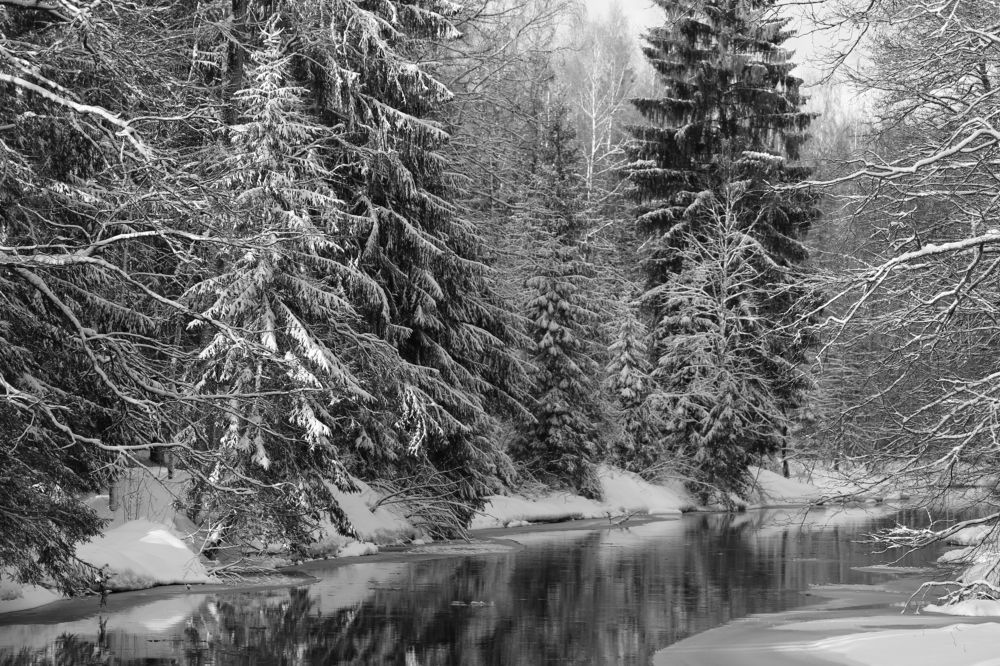 Photograph by Унку Юрий