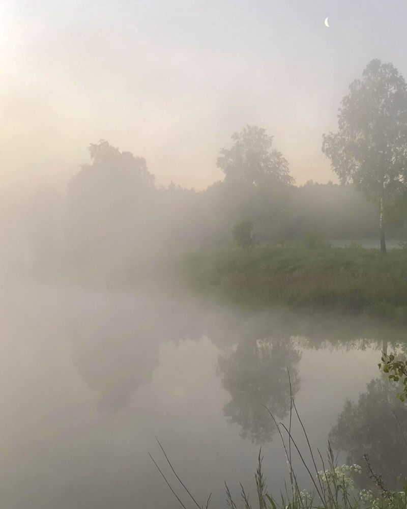 Photograph by Лариса Акинчиц