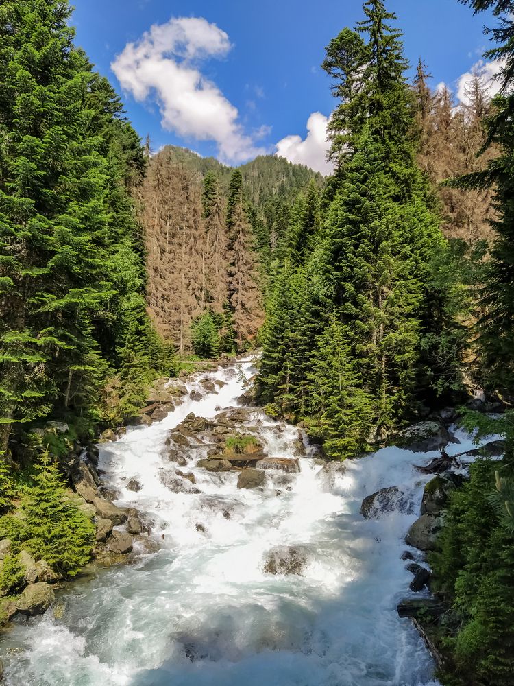 Photograph by Юлия Зигангирова