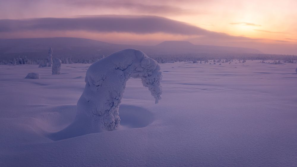 Фотография автора Александр Рудный