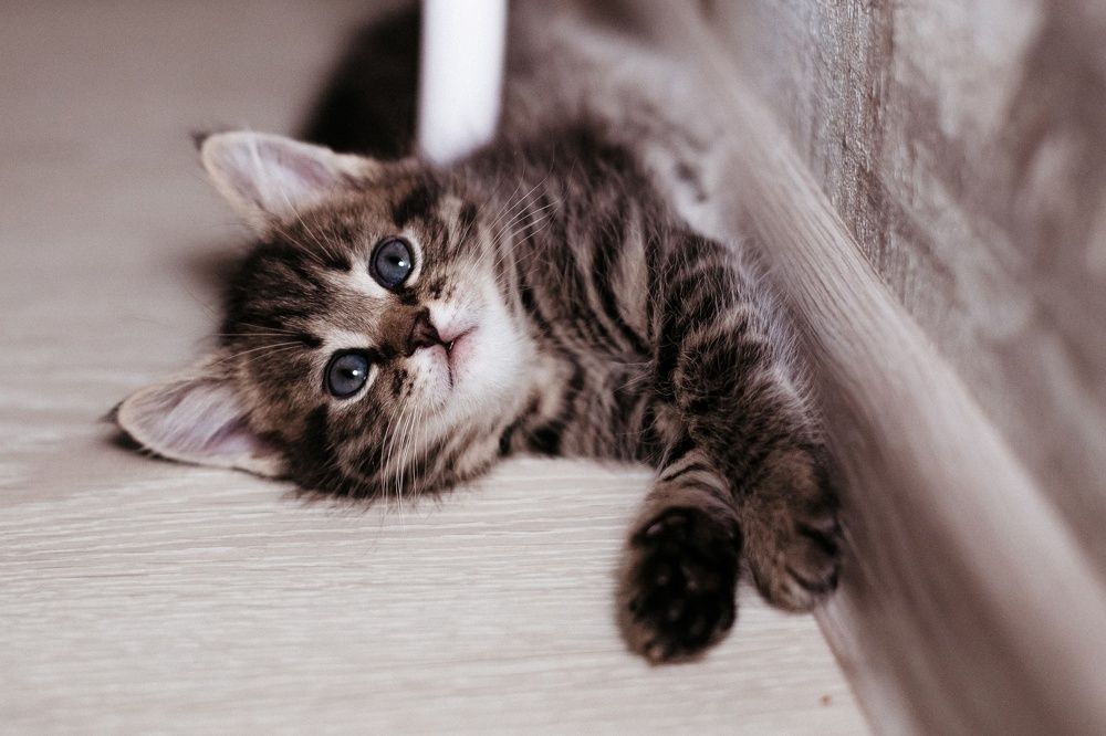 Photograph by Анастасия Голубева