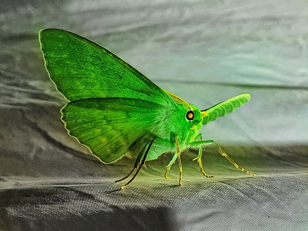 Photograph by Филипп Григорьев