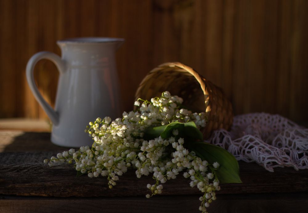 Photograph by Наталья Горохова