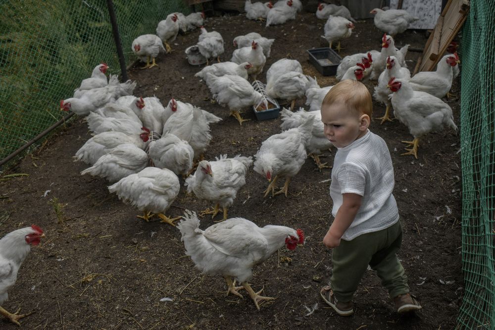 Photograph by Анжелика Шалаева