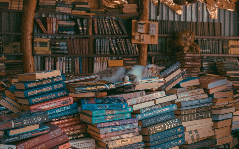 Photograph by Владислав Гриднев