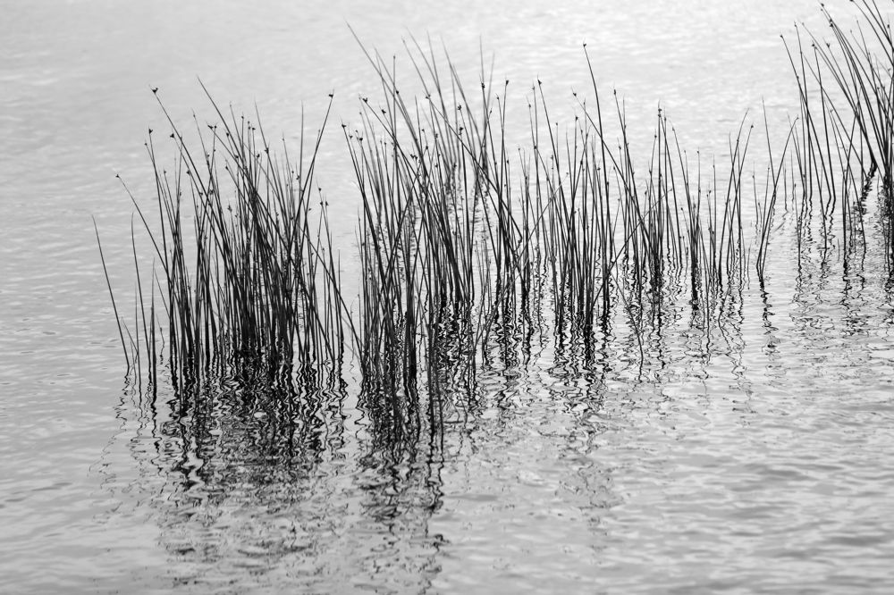 Photograph by Унку Юрий