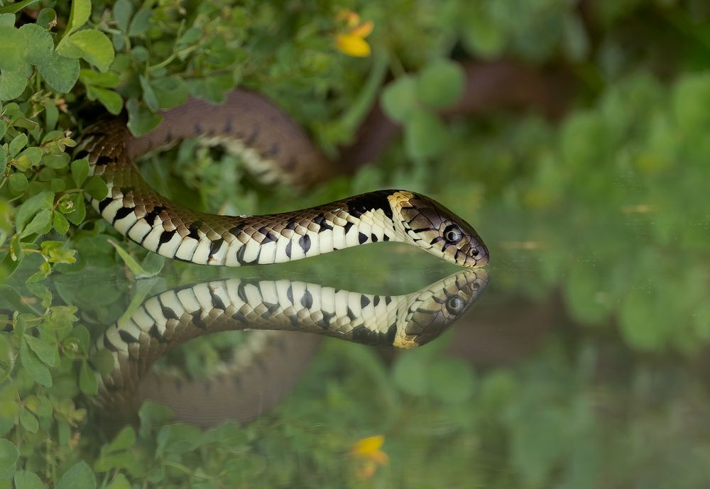 Photograph by MARIA KULA