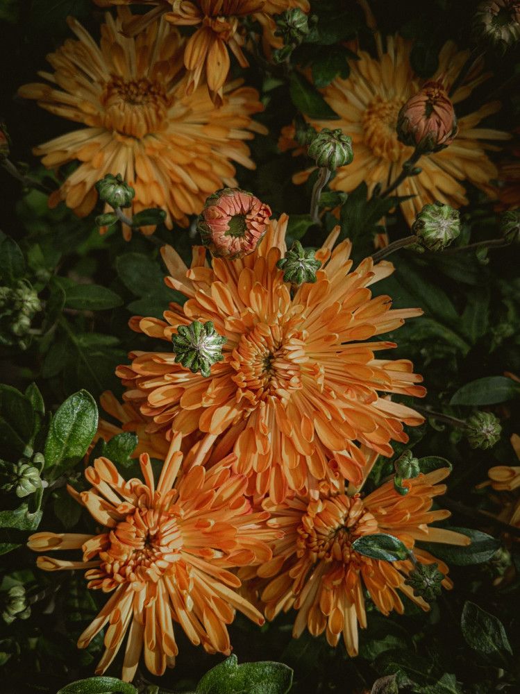 Photograph by Дарья Макаревич