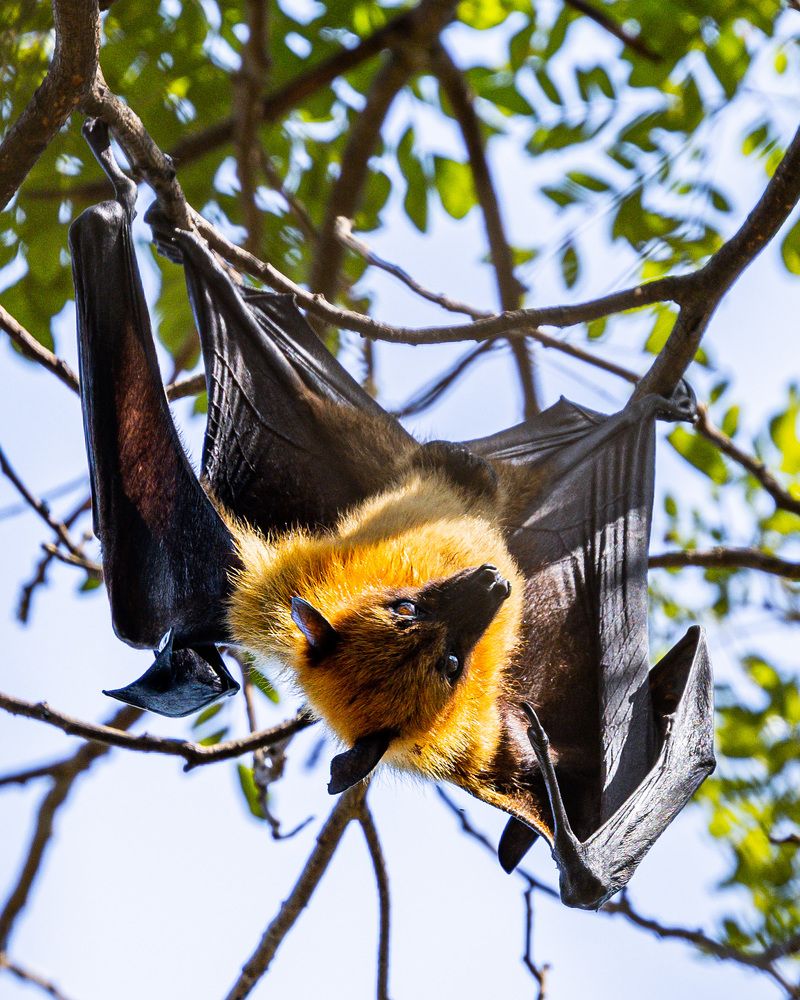 Photograph by ASHWINI BHONGE