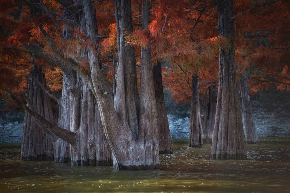 Photograph by Павел Сагайдак