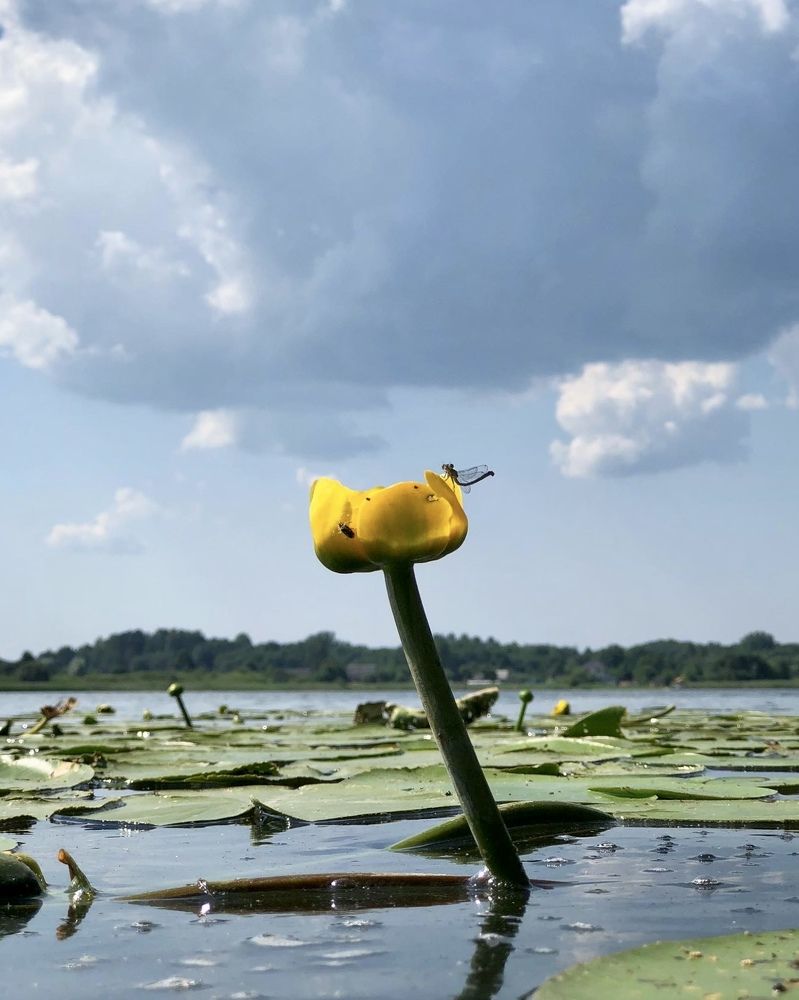 Photograph by Лариса Акинчиц