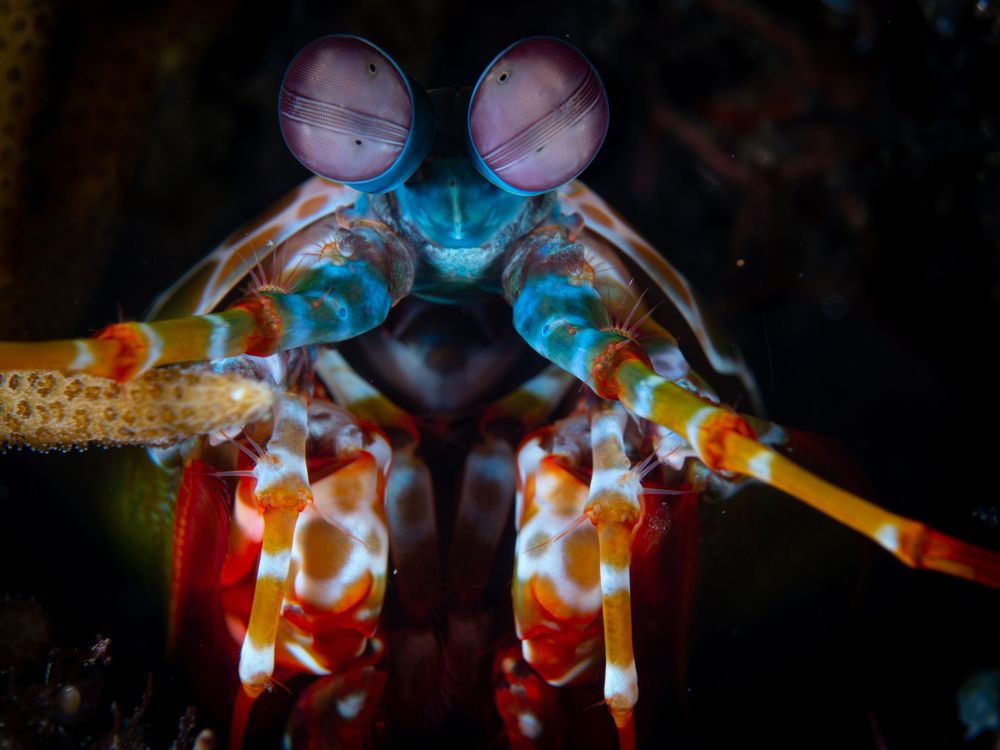 Photograph by Cecilia Muniz