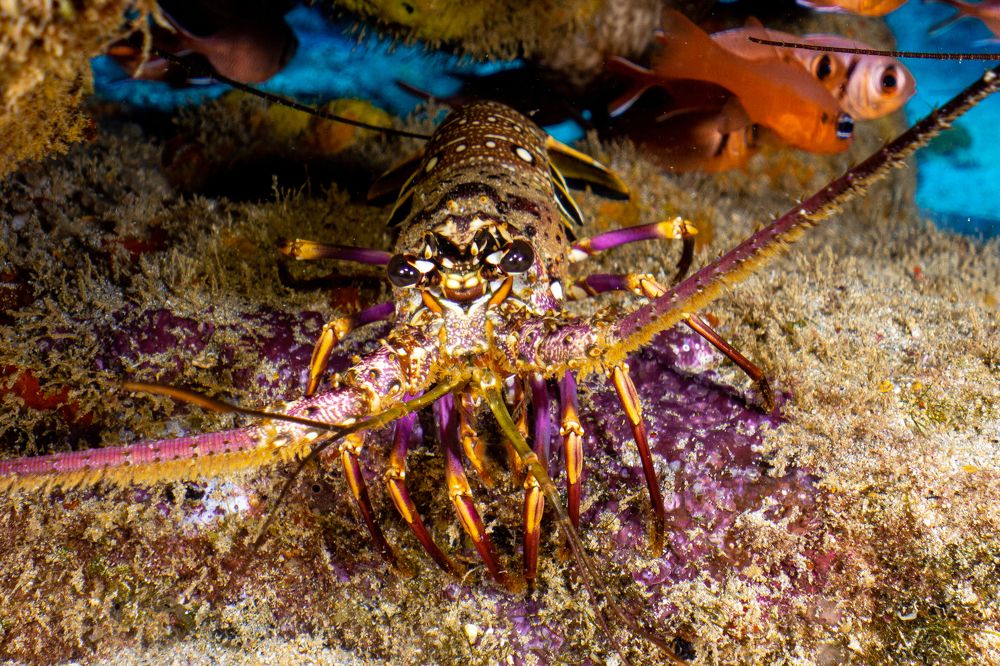 Photograph by Cecilia Muniz