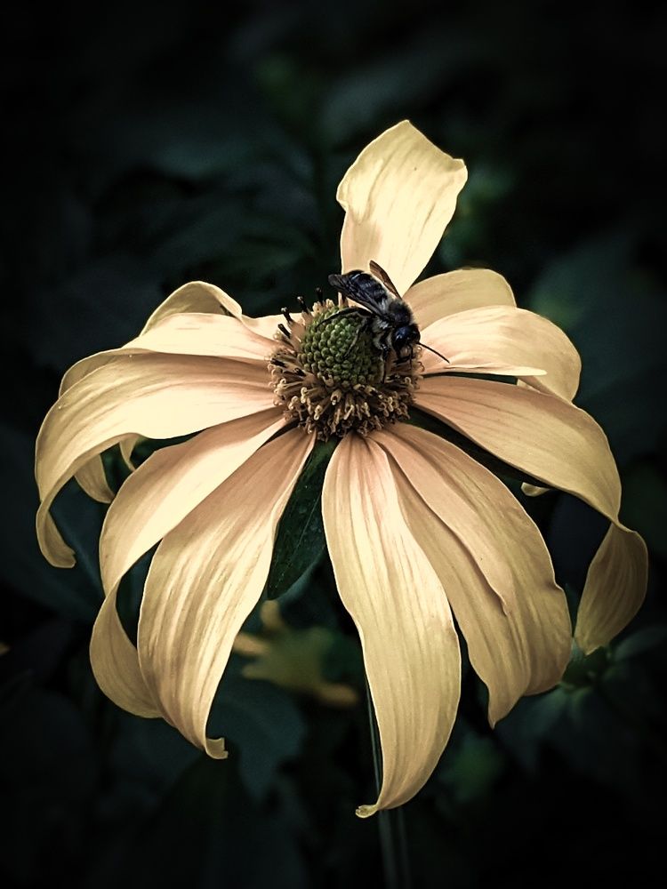 Photograph by Дарья Макаревич