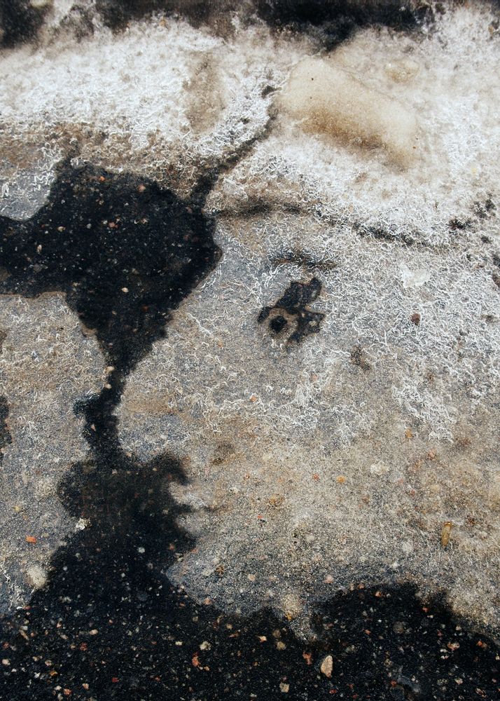 Photograph by Илья Илья