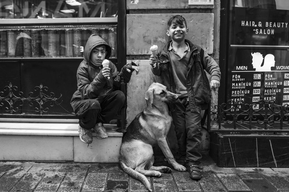 Kids and dog