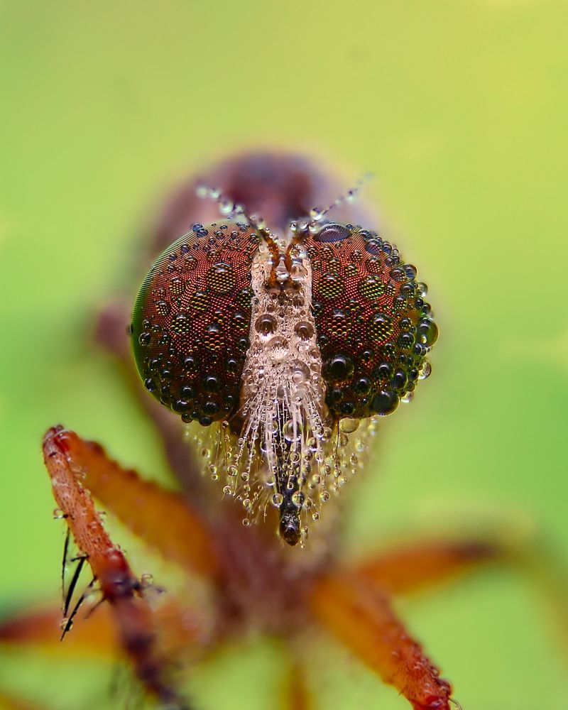 Photograph by Kasun Wickramasinghe