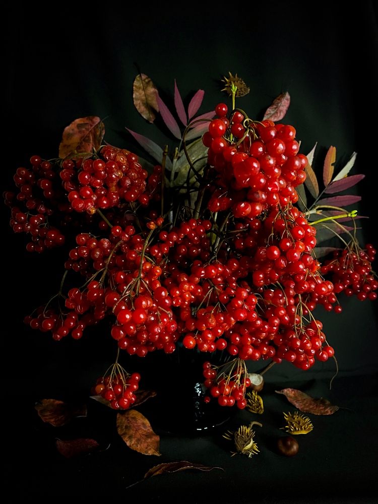 Фотография автора Рамзия Хисамутдинова