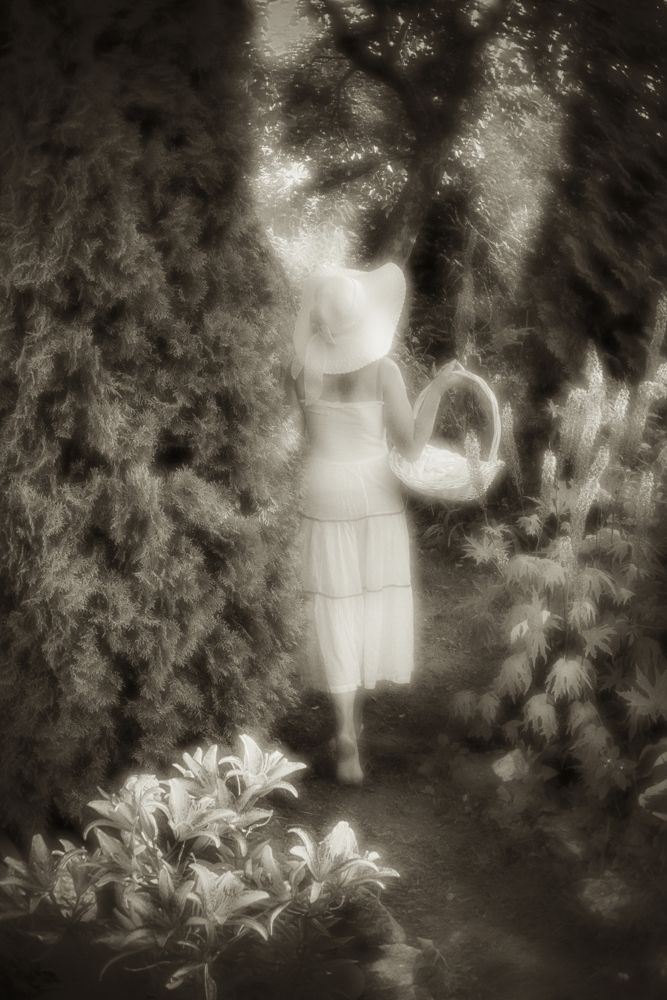 Серебряный век  , видение.