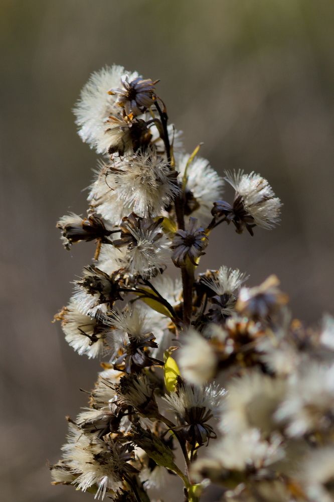 Photograph by Дмитрий Павлов