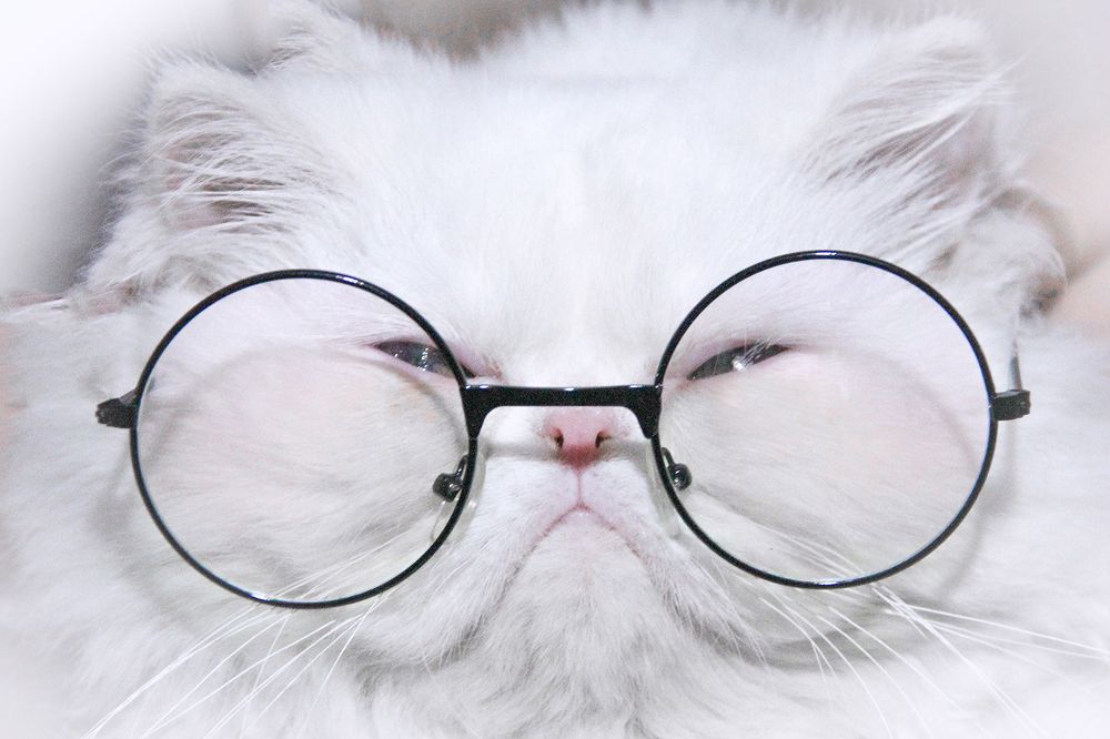 Photograph by behzad homayouninejad