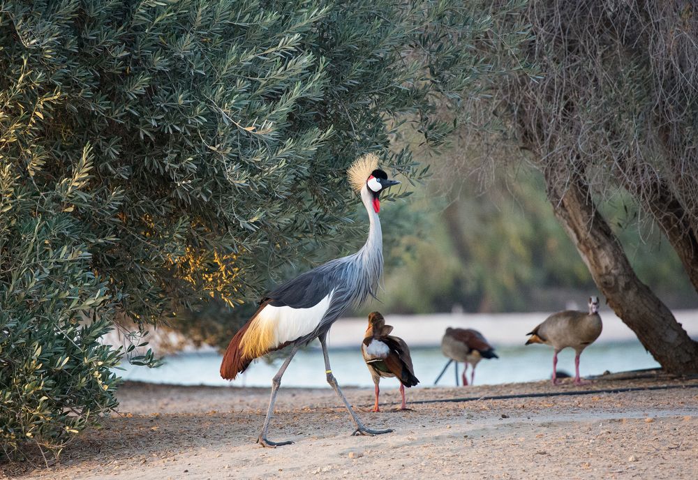 Photograph by Sanja Ristivojevic