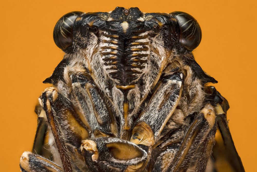 Photograph by Иван Золин