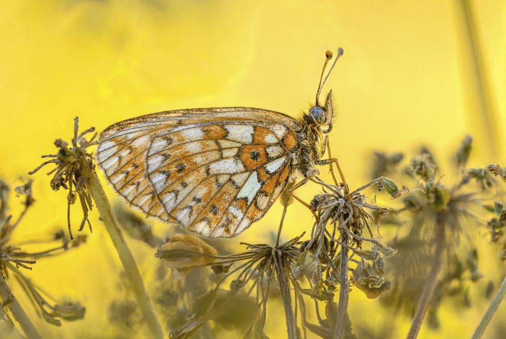 Photograph by Иван Золин