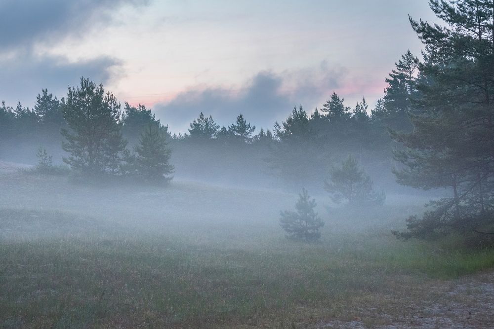 Photograph by Сипаева Катерина